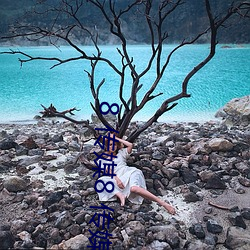 8 传媒8 传媒