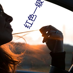 红色一级带