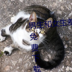 Ů۵appȫذ׿ƻ ţ