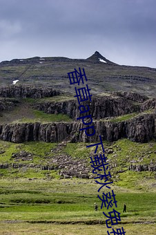 香草app下载秋葵(kuí)免费