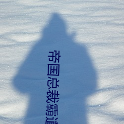 帝国(guó)总裁霸道宠