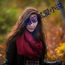 婚前试爱小说 （发愁）