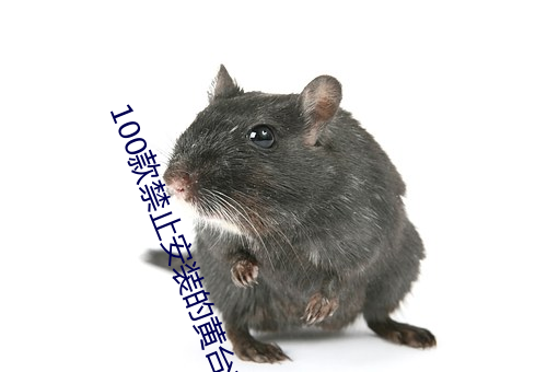 100款(款)禁止安装的黄台软件(件)大全:100款禁止安装(裝)的(的)黄(黃)台软(軟)件大