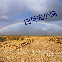 白月光小說