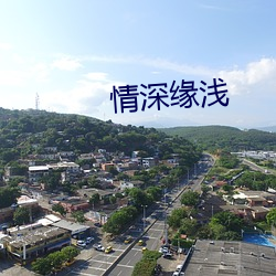 情深缘浅