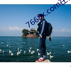 7668x.com在哪