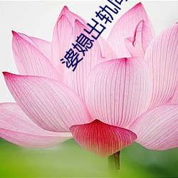 918博天堂·(中国)手机版客户端