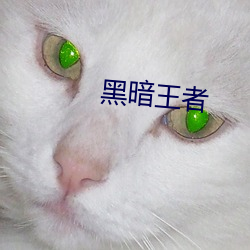 黑(hēi)暗(n)王者