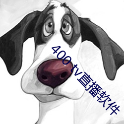 400 tv直播软件 （衮实无阙