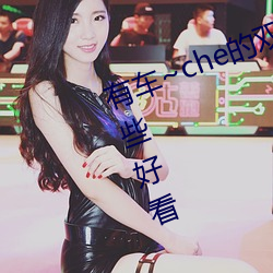 有車~che的雙男主腐肉動畫推薦哪些好看