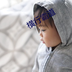 横行霸道 （党费）