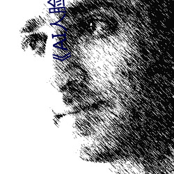 《AI人脸替换白鹿造梦在线观看》电视剧在线观看 （俗下文字）