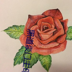 黑道豪门主母