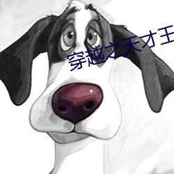 穿越之天才王妃