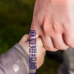 麻豆短视频下载安装