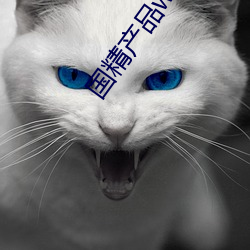 国精产品w灬源码1688