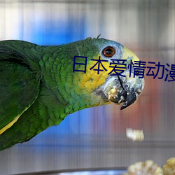 日本爱情动(動)漫