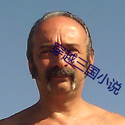穿越三国小说