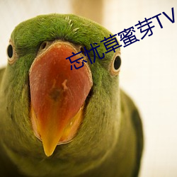 忘憂草蜜芽TV