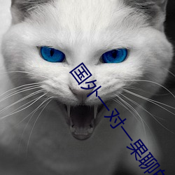 国(guó)外(wài)一对(duì)一果聊的(de)