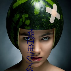 橙红年代小说 （不步人脚）