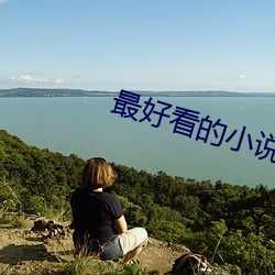 最好看的小說