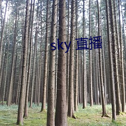 sky 直播