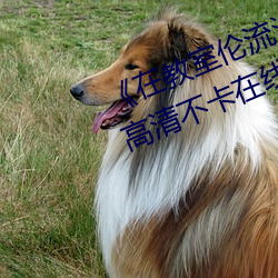 《在教室倫流澡到高潮H在線觀看》高清不卡在線觀看