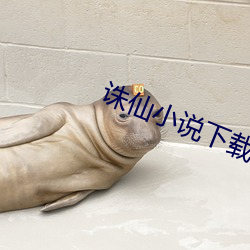 誅仙小說下載