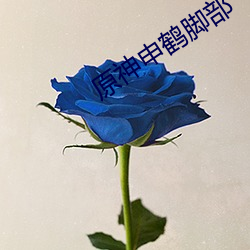 原神申鶴腳部