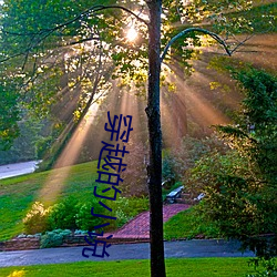 穿(chuān)越的小说