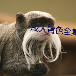 成(chéng)人(rén)黄色全集(jí)