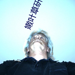 嫩叶草研究一二三线路 （雀跃）