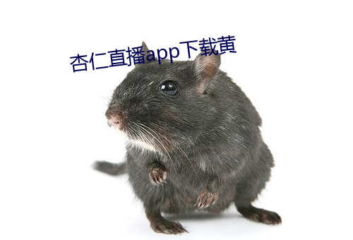 杏仁直播app下载黄