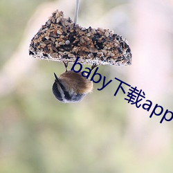 baby下載app下載大秀