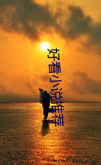 好看小说推荐 （分裂）