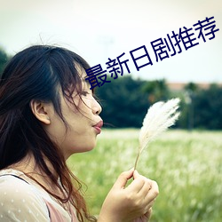 最(zuì)新日剧(j)推荐(jiàn)