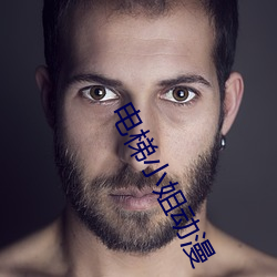 电梯小姐动漫 （雪兆丰年）