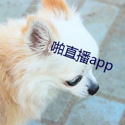 啪直播app