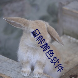 日(rì)韩(hán)黄色软件(jiàn)