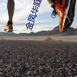 金凤华庭小说全文免费阅读 ��纠正）