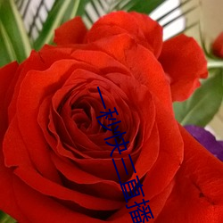 一(yī)秒(miǎo)快三直(zh)播