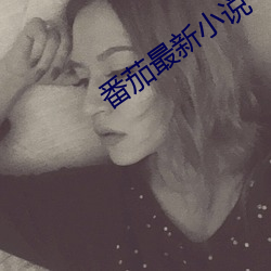 番茄最新小说