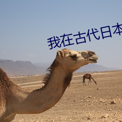 我在古代日本當劍豪