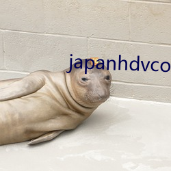 japanhdvcom