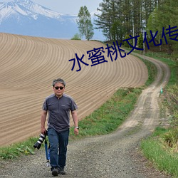 水蜜桃文化傳媒
