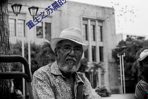 重生之蘇晨的幸福生活