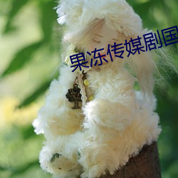 果凍傳媒劇國産劇在線看