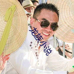 龙(lóng)族小说(shuō)