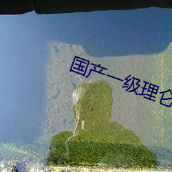 国产一级理仑(ln)片日本